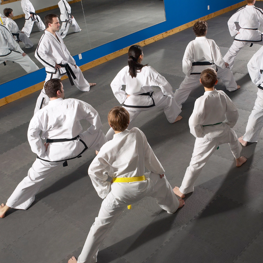 Martial Arts Club Management Software Coach