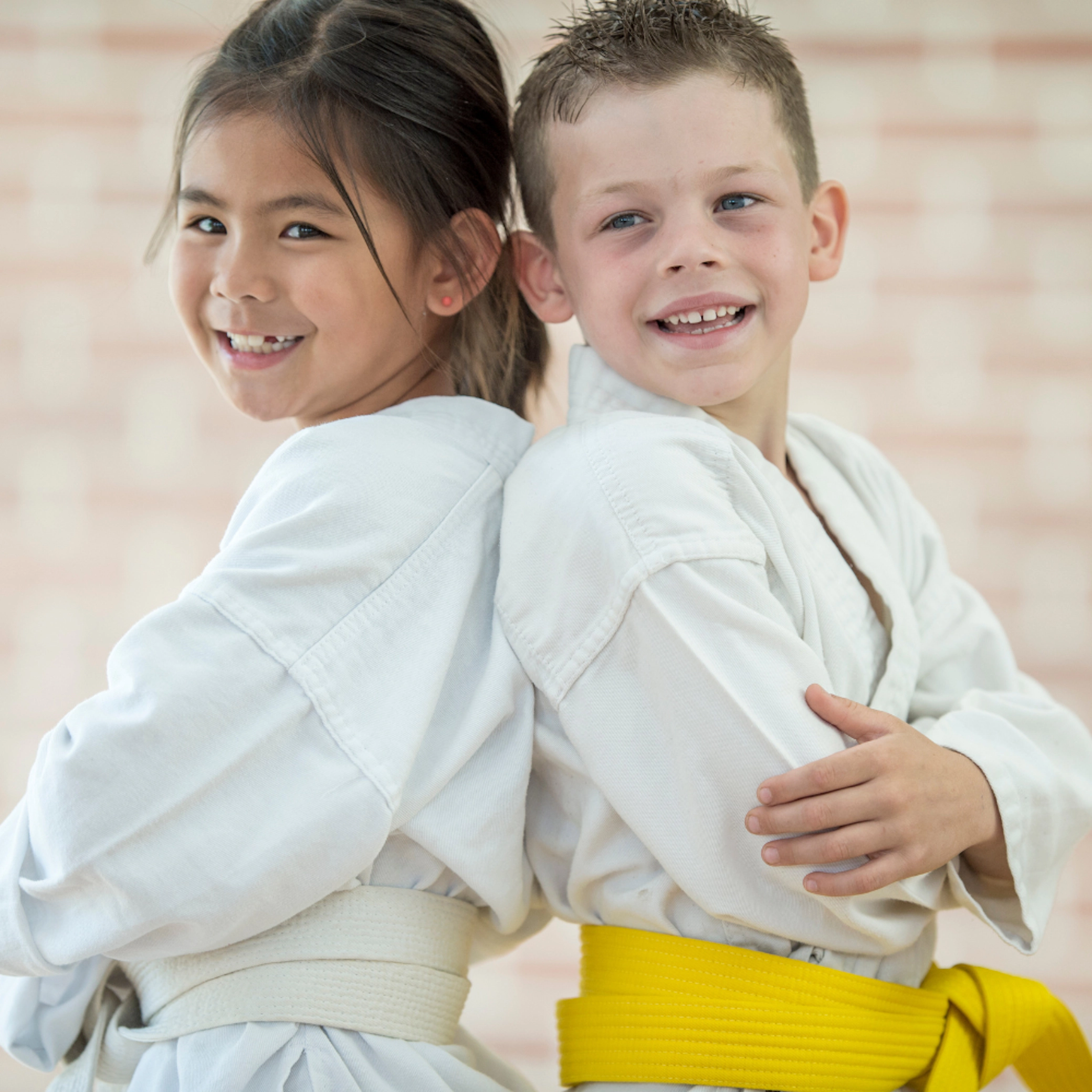 Martial Arts Club Management Software Joy