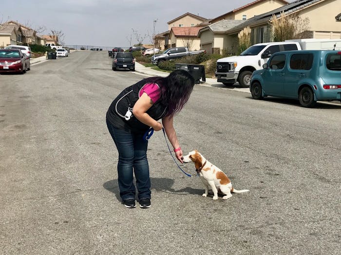 Debbie rewarding the puppy for walking nicely 