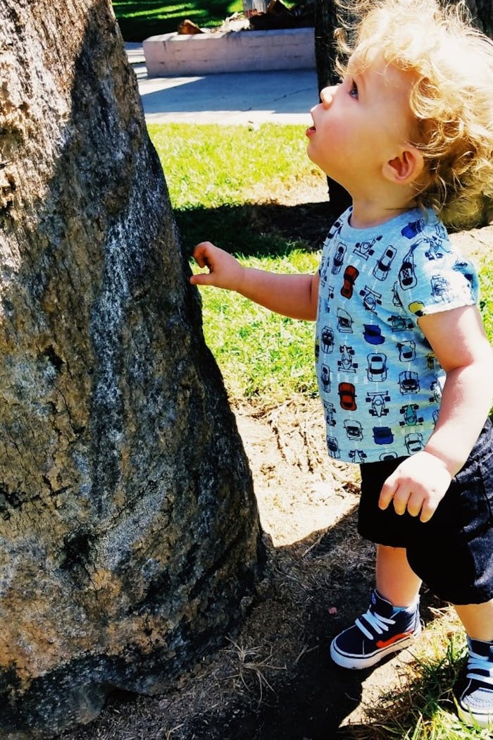 Danielle's young son looking amazed at a big tree