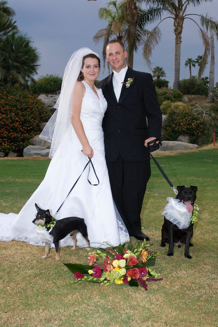 Debbie at her wedding with her husband and two dogs