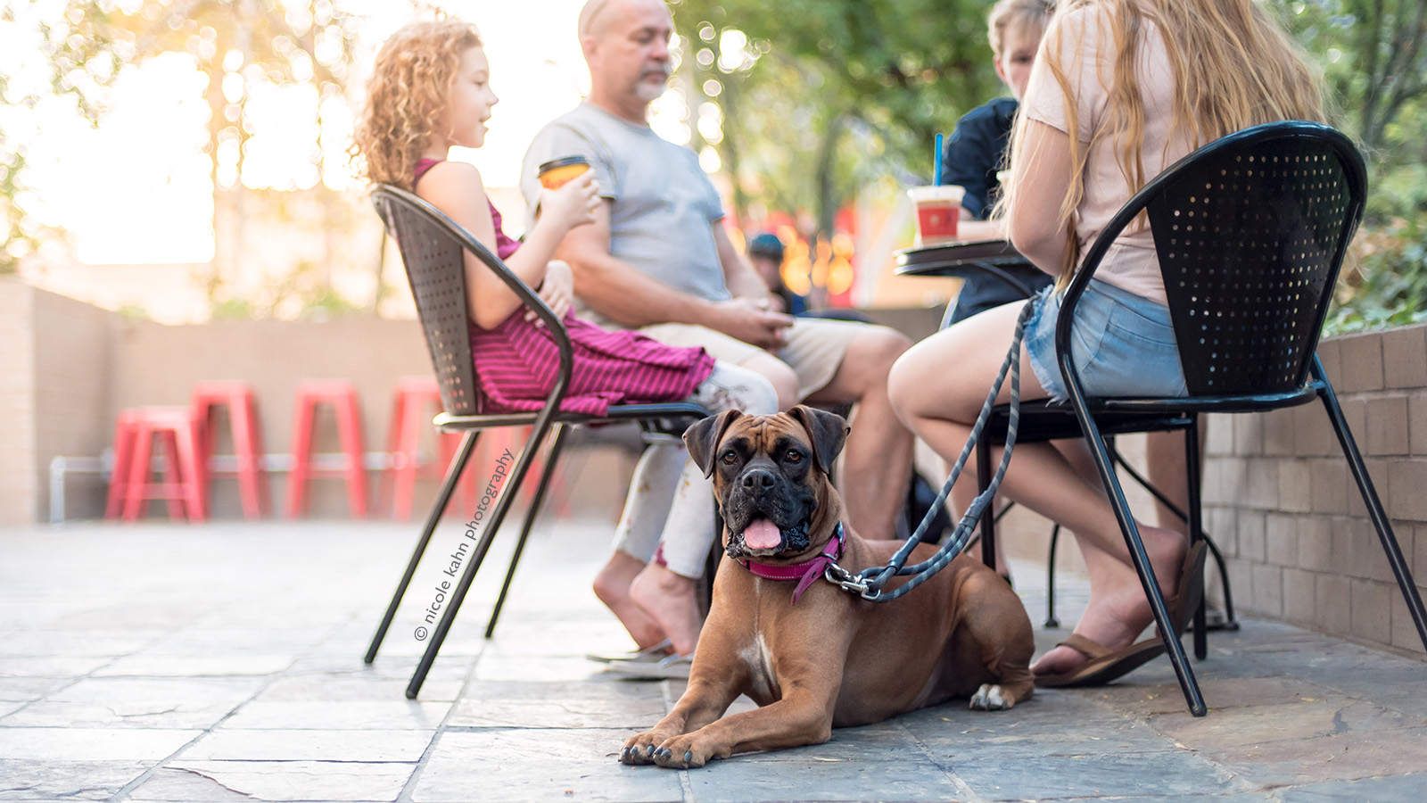 18 DogFriendly Restaurants in Redlands