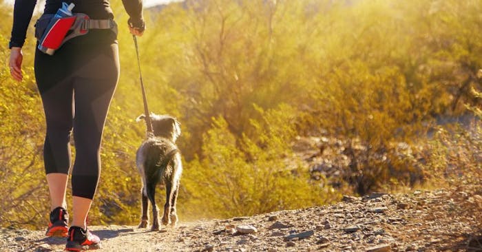 hiking with a dog