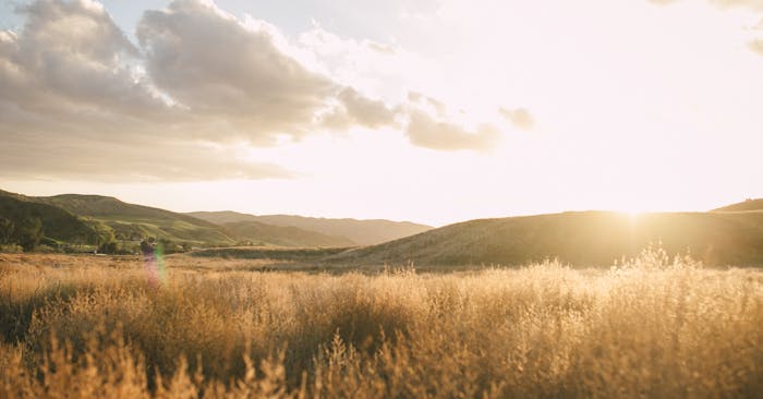 Redlands at sunset