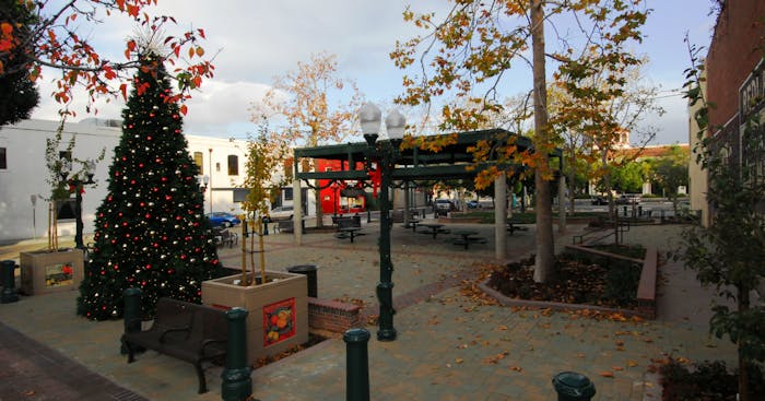 Ed Hales Park decorated for Chrismas with large tree