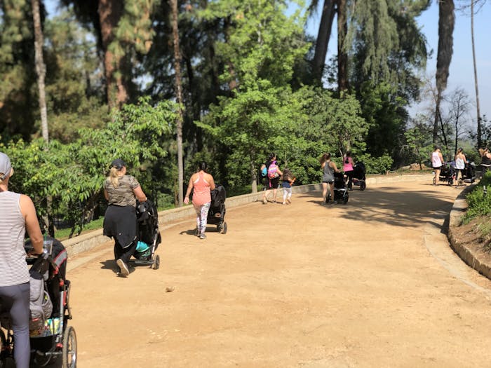 FIT4MOMStroller Strides group at Prospect Park, an 11.4 acre natural park with trails and picnic facilities.