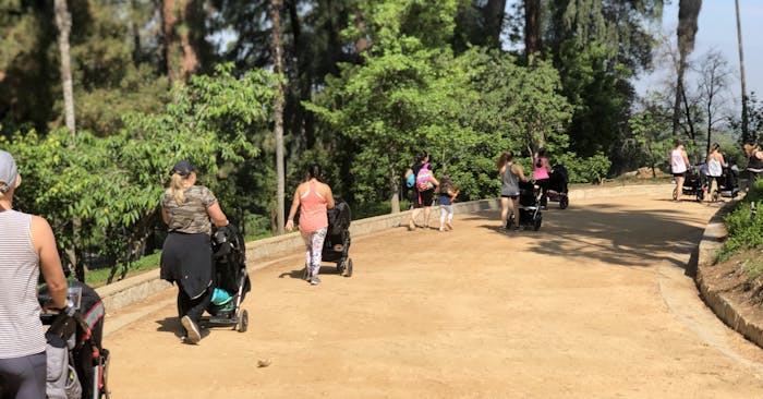 Stroller Strides mom and child workout group at Prospect Park - orange groves and dirt paths.