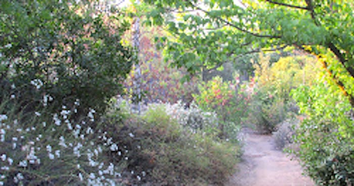 Lush green trails at Caroline Park