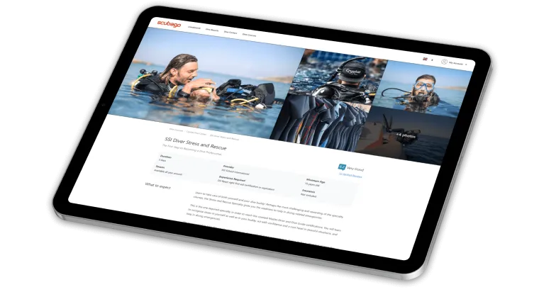 Abstractic work to build a marketplace for diving activities