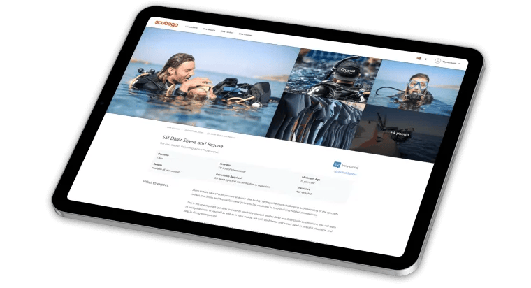 Abstractic work to build a marketplace for diving activities