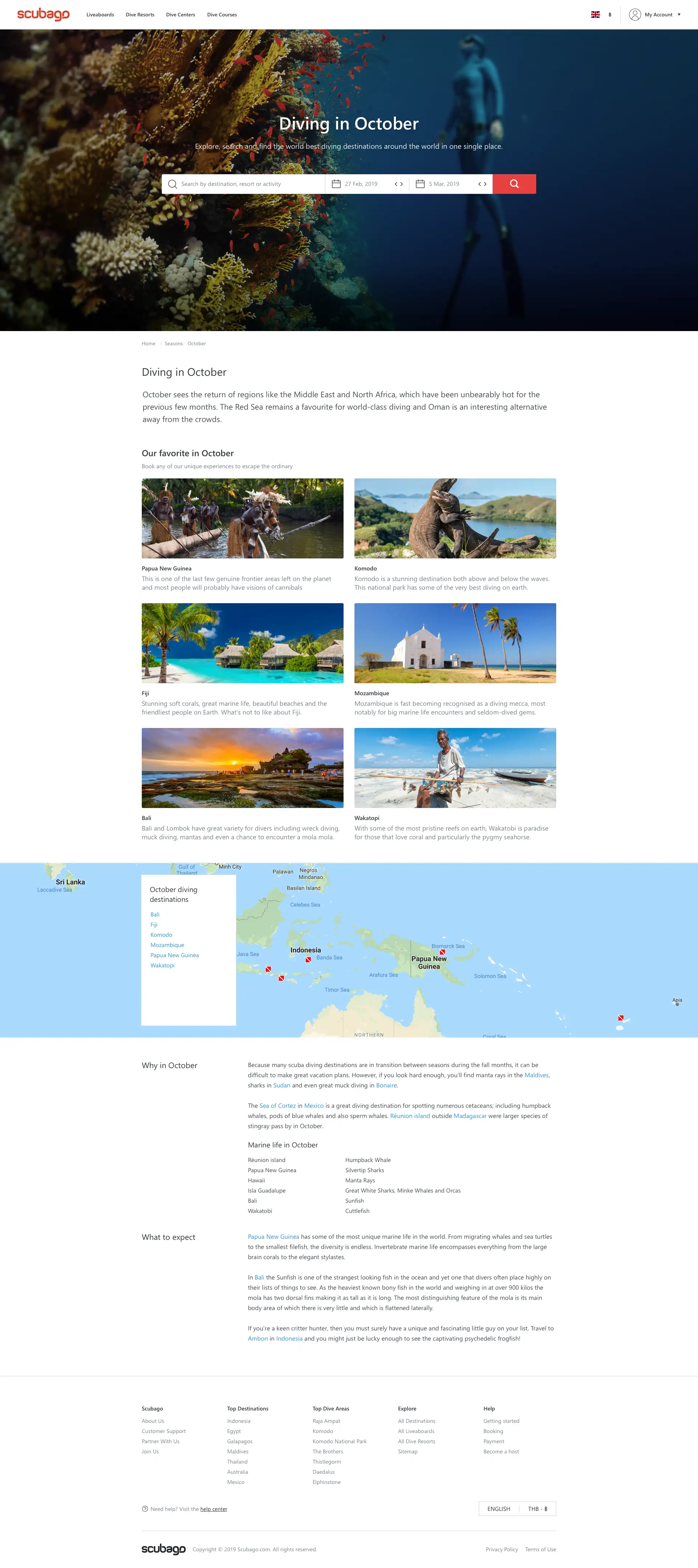 The concept and defining the user discovery phase