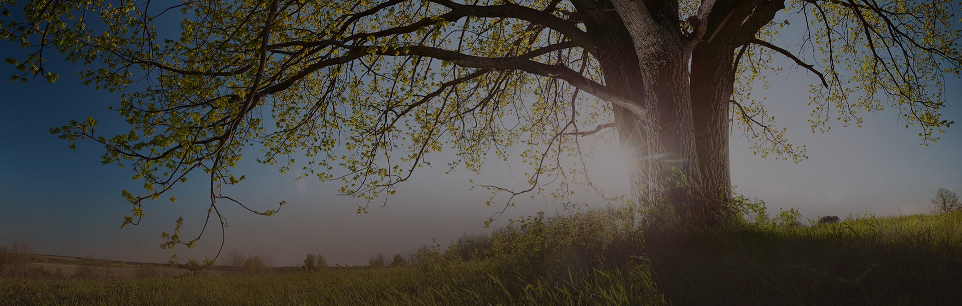 Find your AB&T Branch