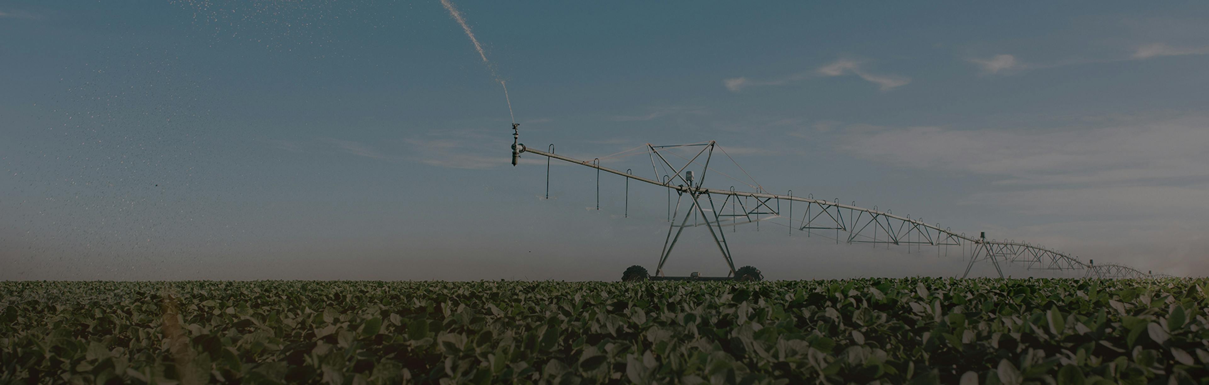 Serving you, generation after generation