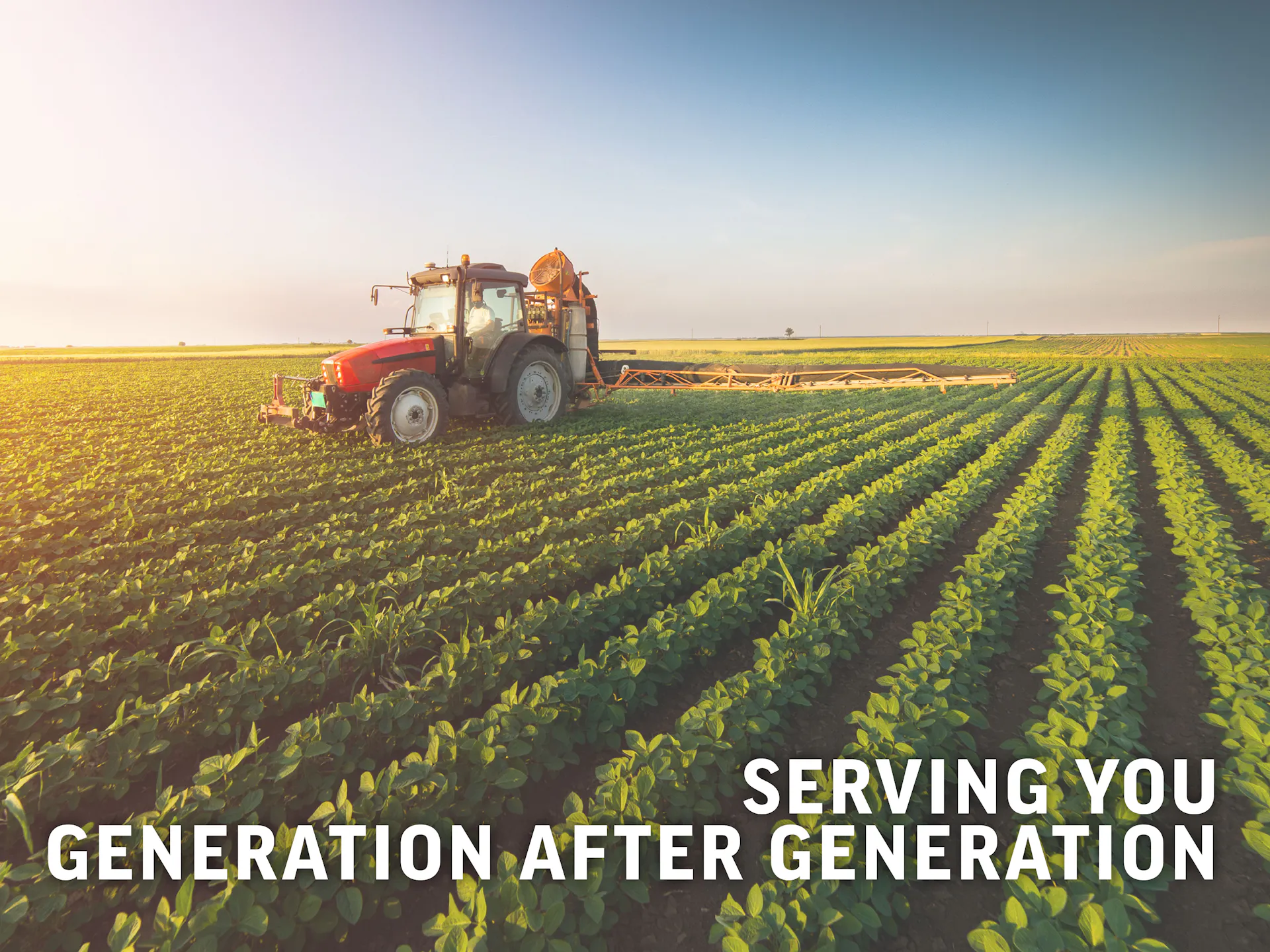 Soybean field with red tractor