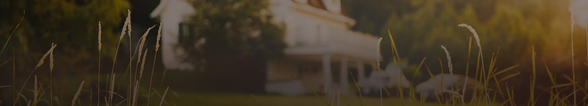 homepage
