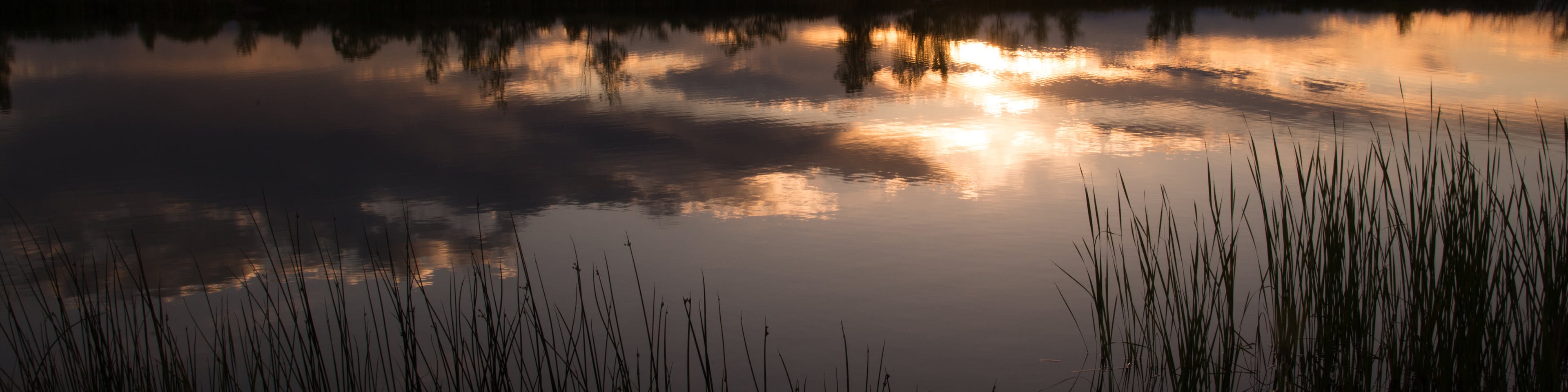 Firestone Colorado Branch