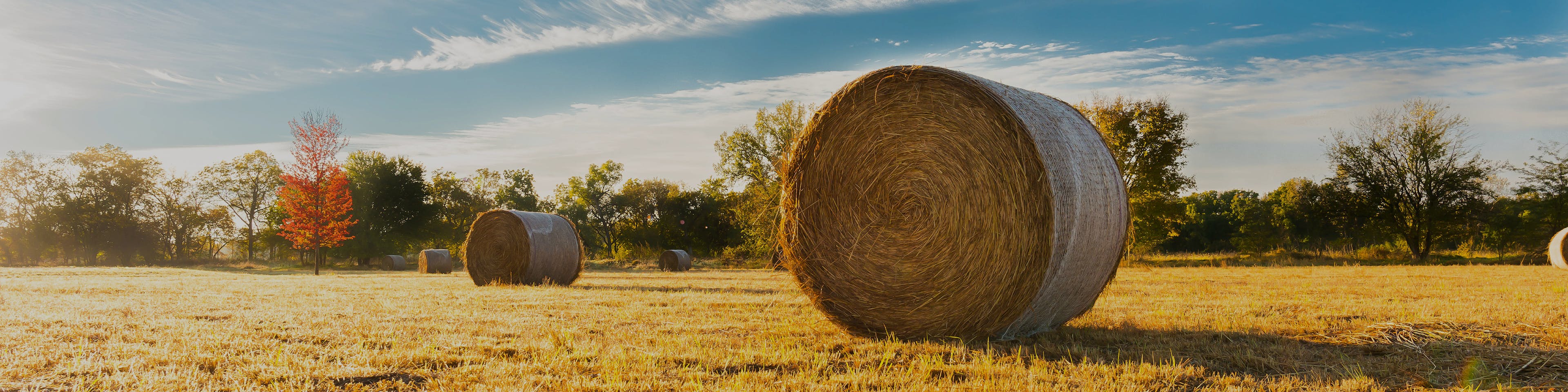 Madrid Nebraska Branch
