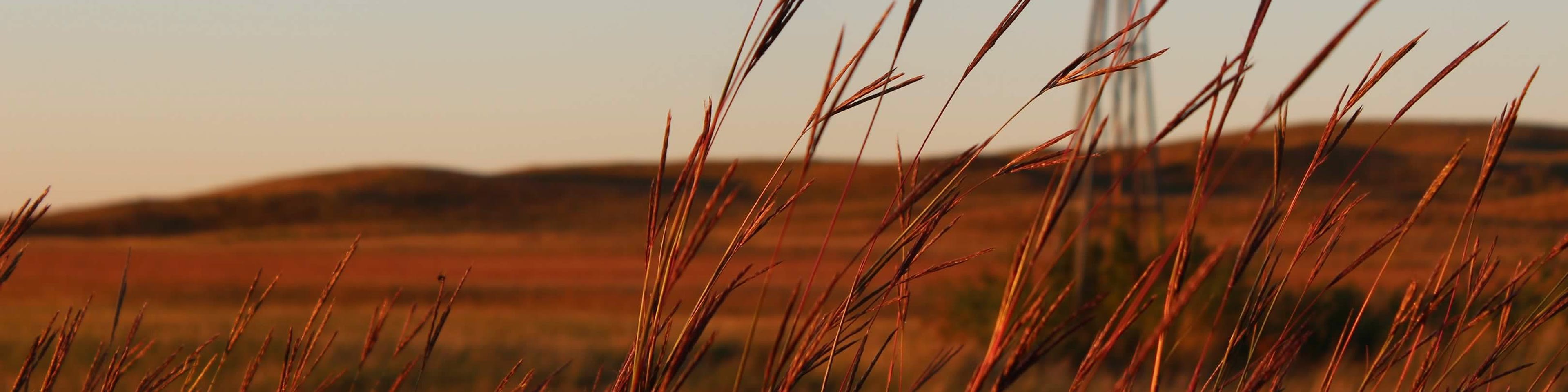 Grant Nebraska Branch