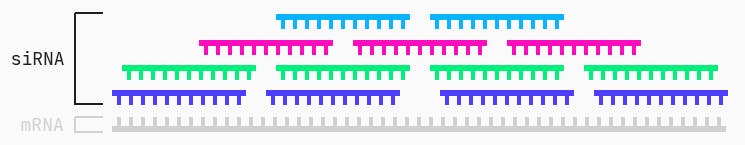 Example of siRNA “candidates” tiling the mRNA target