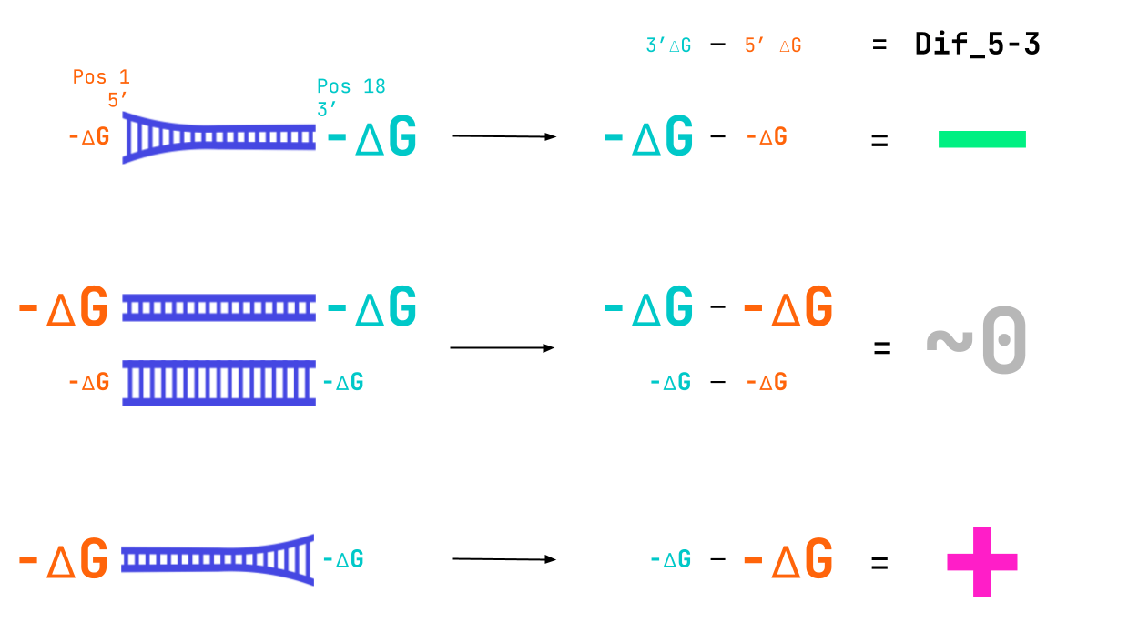 Tight binding in active siRNA