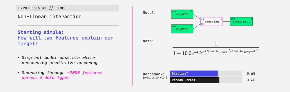 Exploring hypotheses with simple and interpretable AI models.