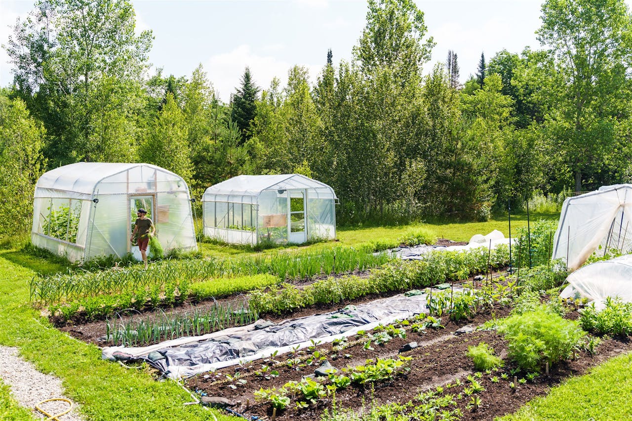 Tout savoir sur le potager - Formations en jardinage