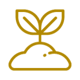 sol vivant, bâtir la santé