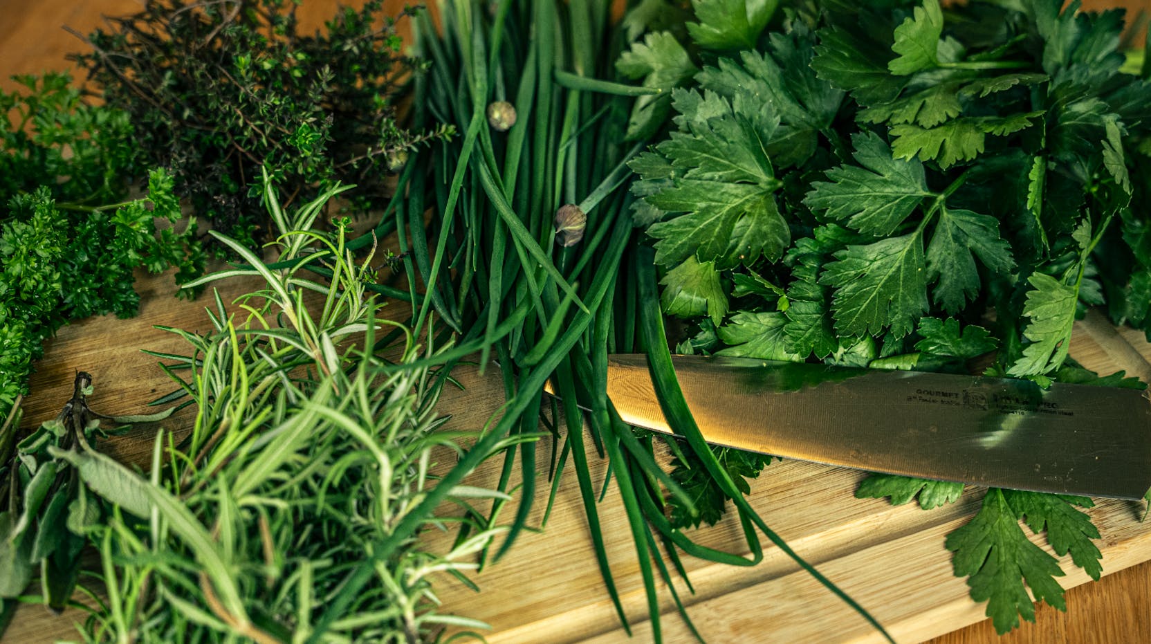 Herbes aromatiques fraîches du potager