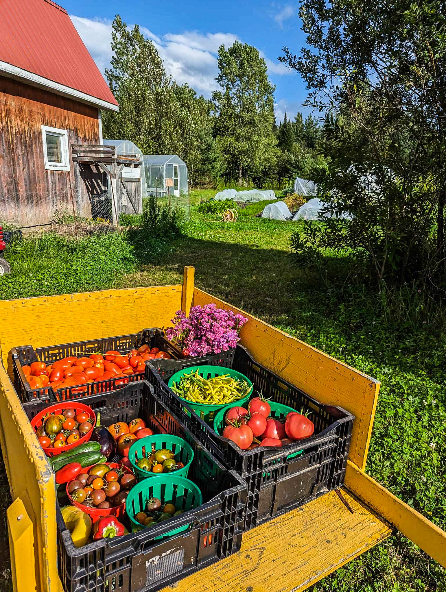 Conseils pour jardiniers avancés