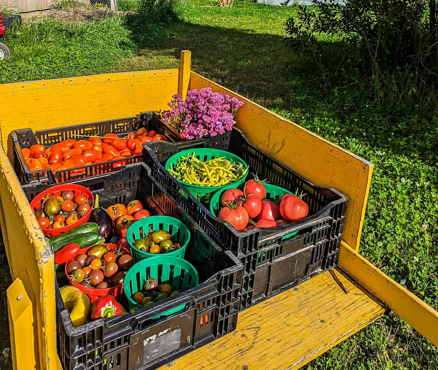 Conseils pour jardiniers avancés