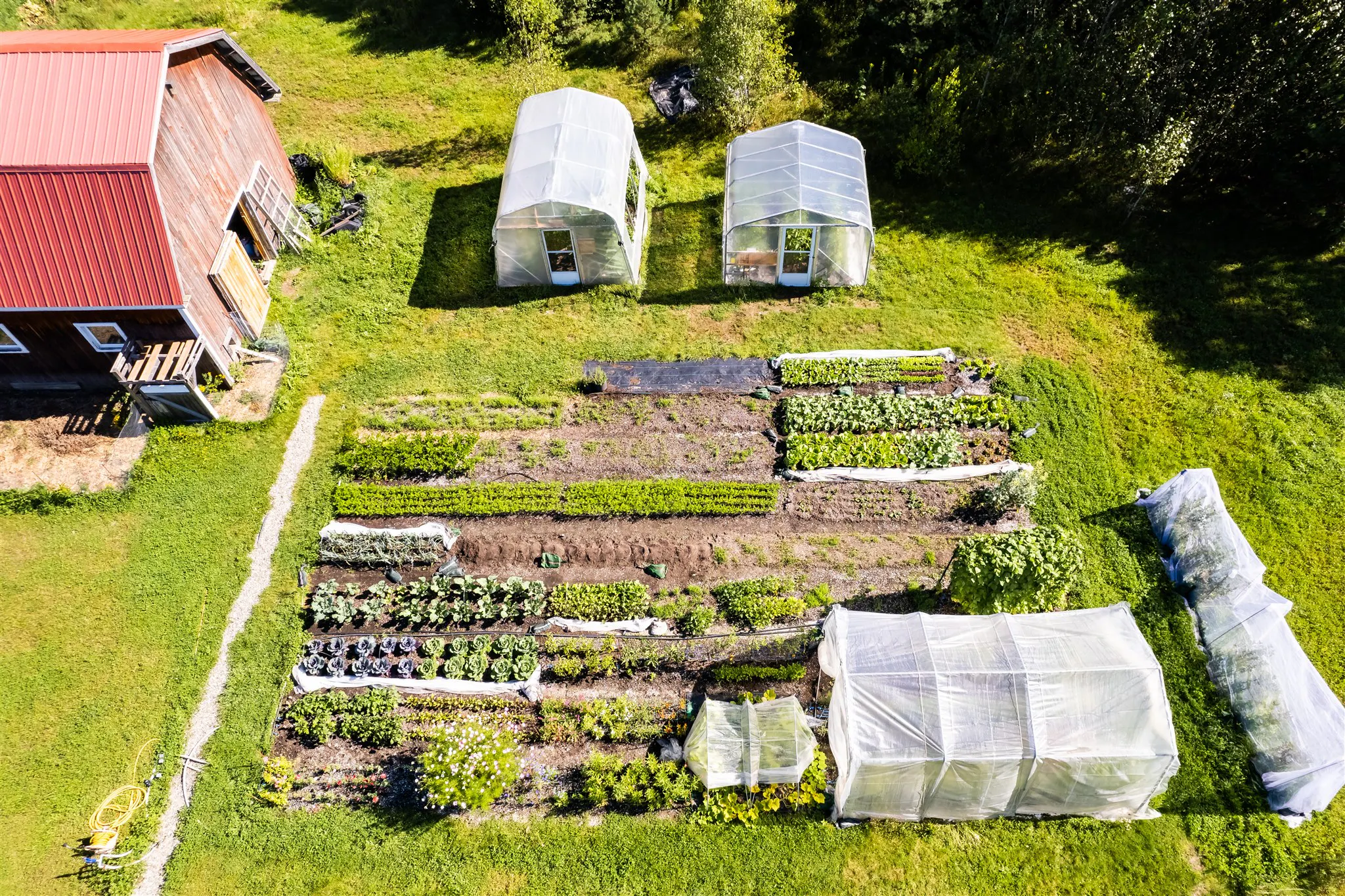 Jardin potager d'autosuffisance - L'Académie Potagère