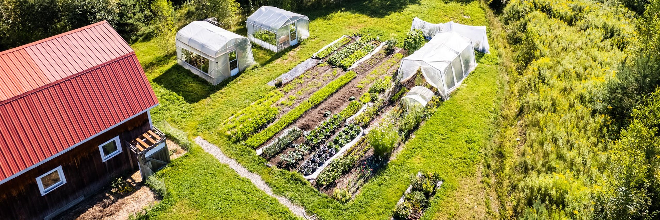 Serres et potager en autosuffisance - L'Académie Potagère