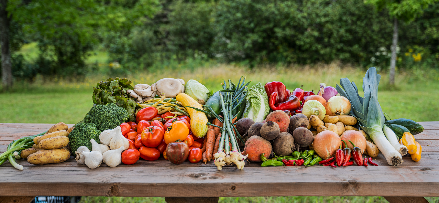 Les cultures légumières 1 & 2
