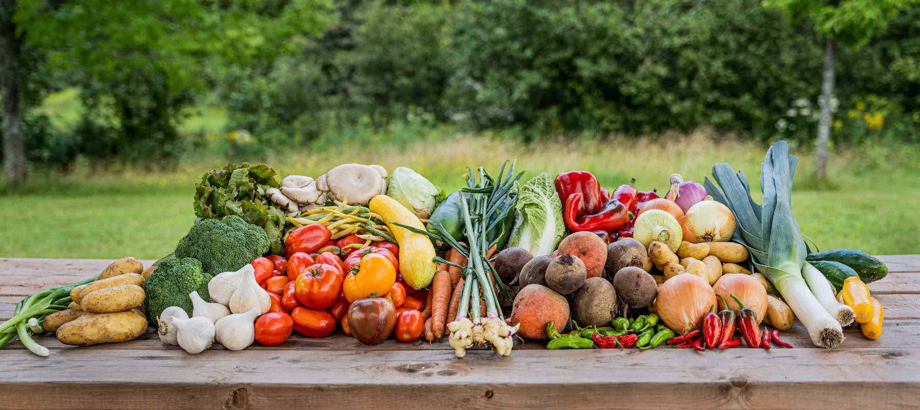 Les cultures légumières 1 & 2