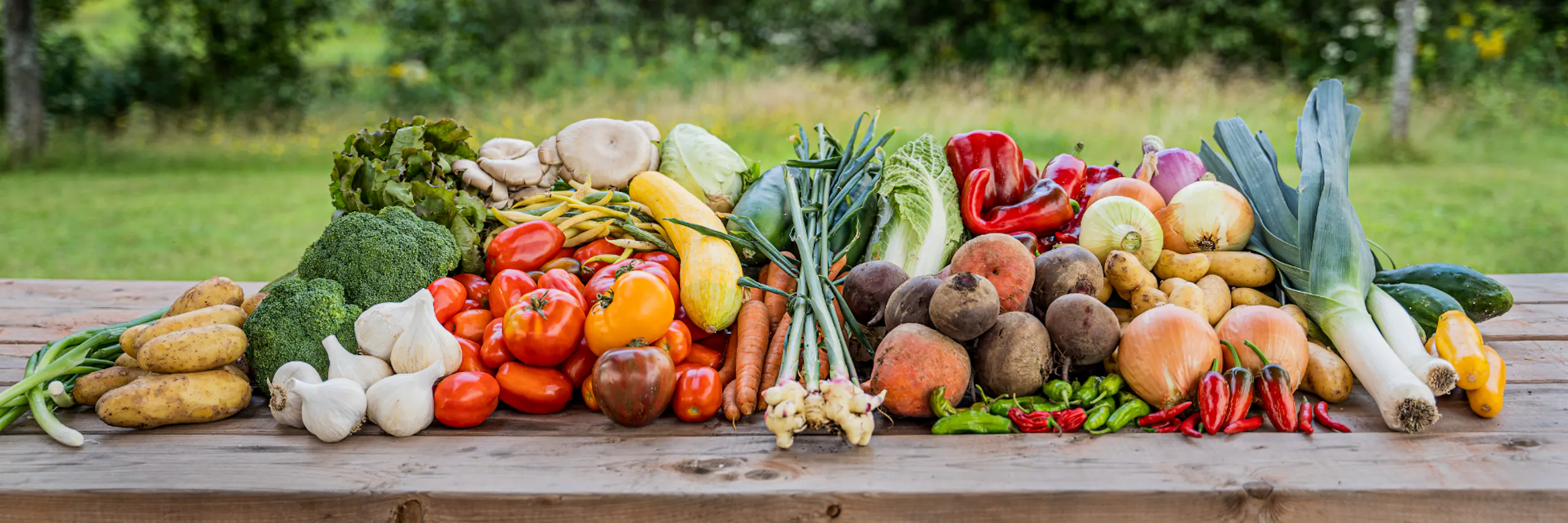 Les Cultures Légumières - Vos Formateurs