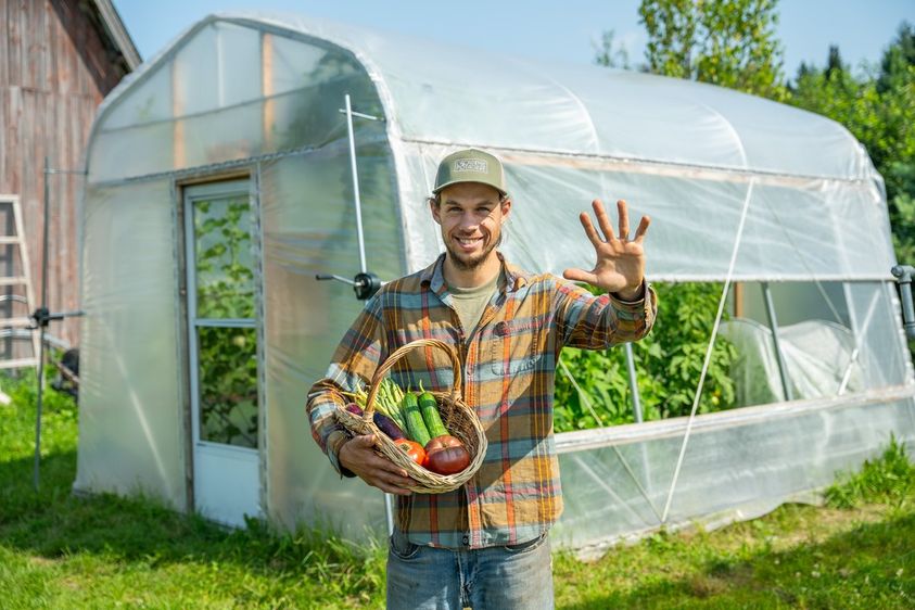 Top 5 des légumes d'été en serre!