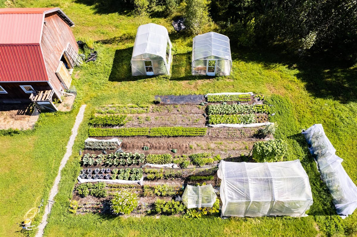 Standardiser les dimensions des planches permanentes pour gagner en efficacité.