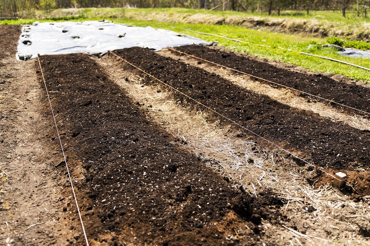 Identifier les planches permanentes de cultures.