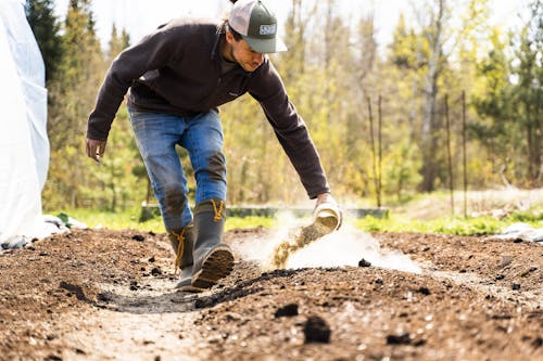 Fertilisation biologique jardin