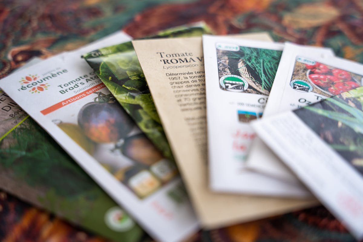 Choisir ses semences de légumes 
