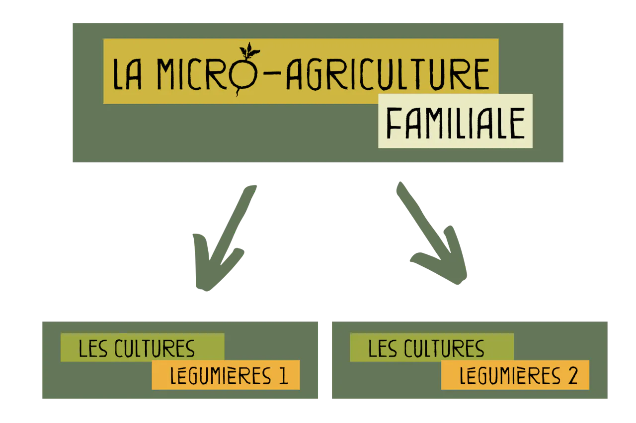 Parcours de formation