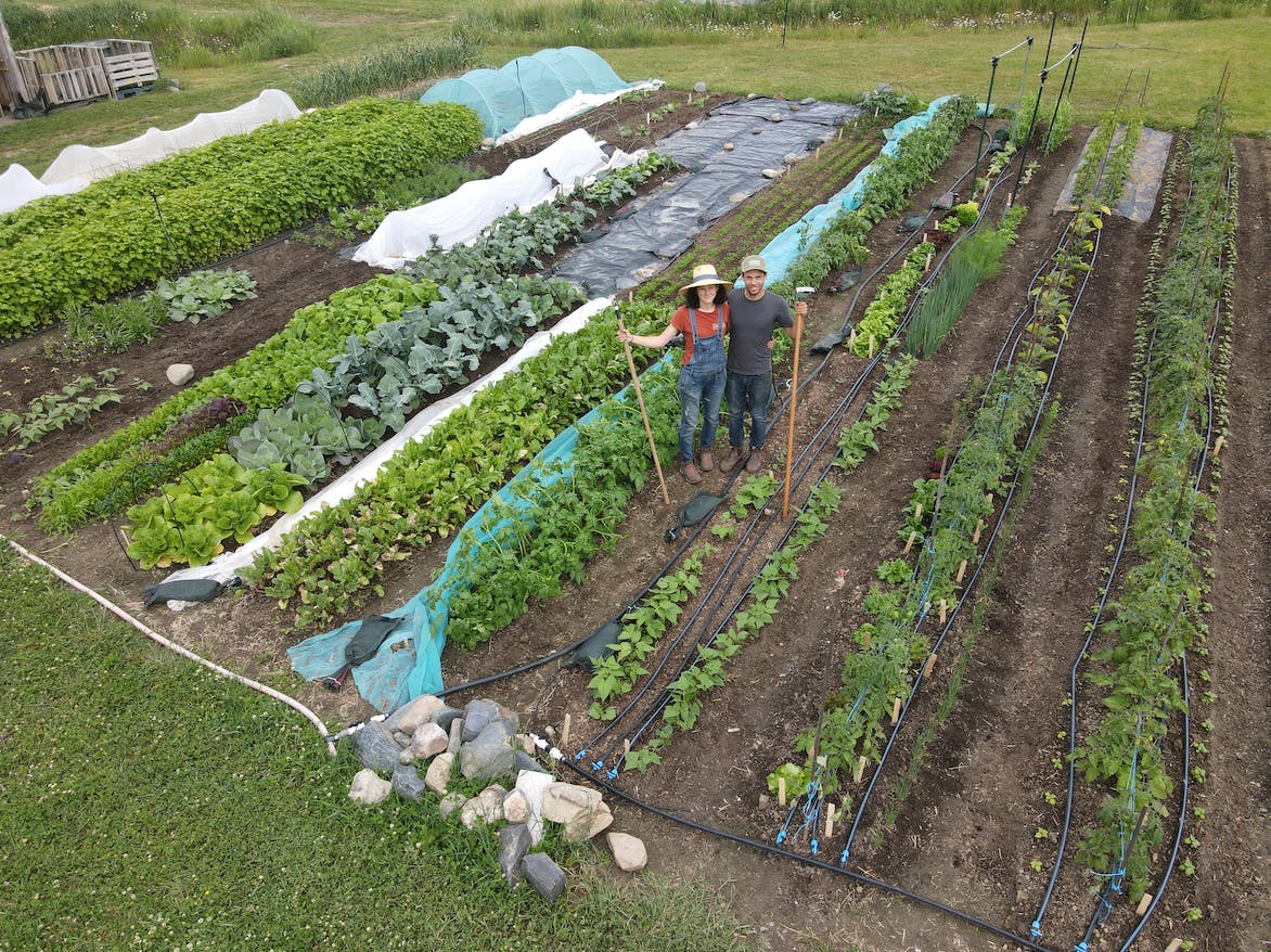 Le potager de l'Académie potagère
