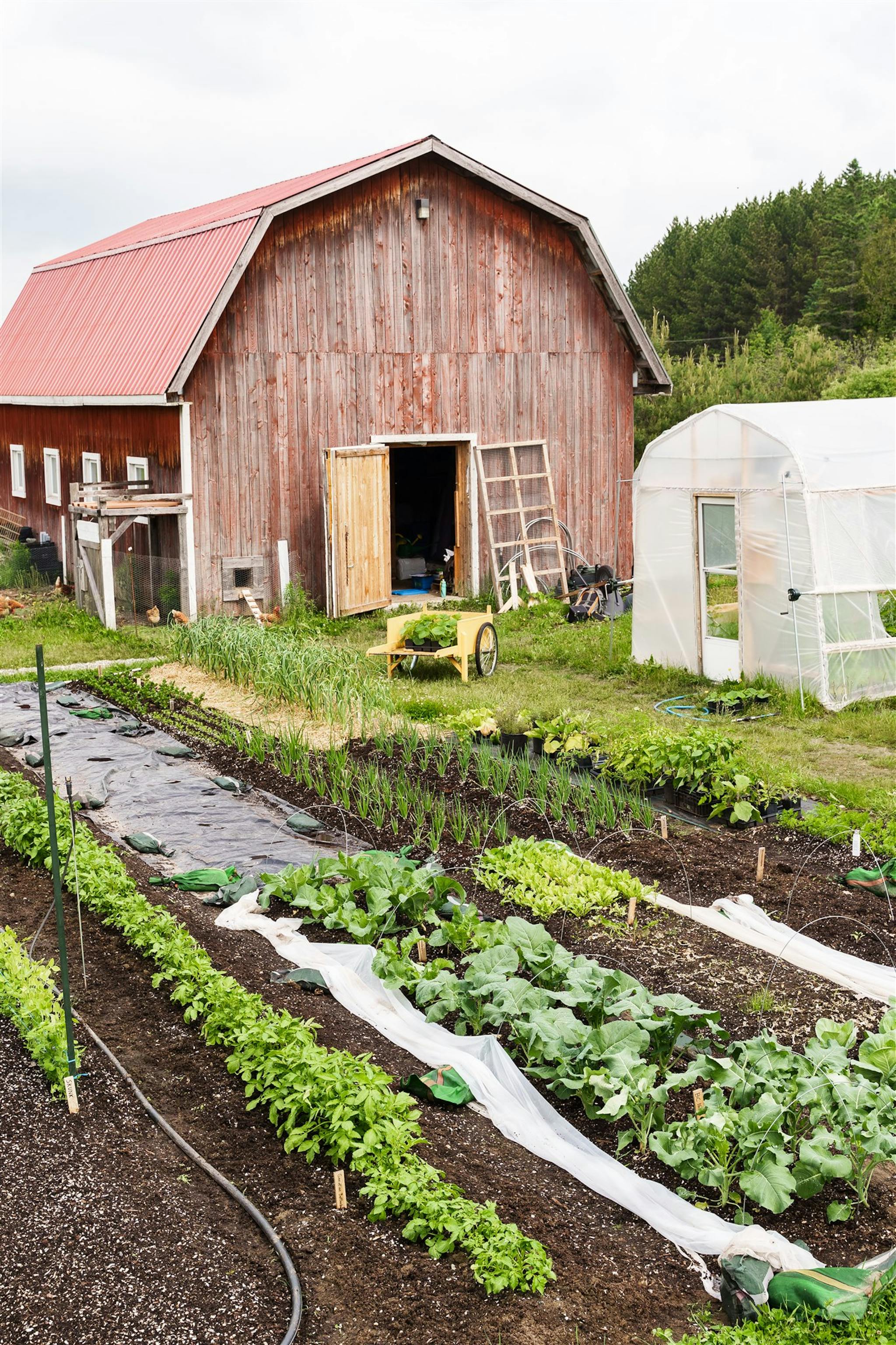 Jardin potager en autosuffisance - L'Académie Potagère