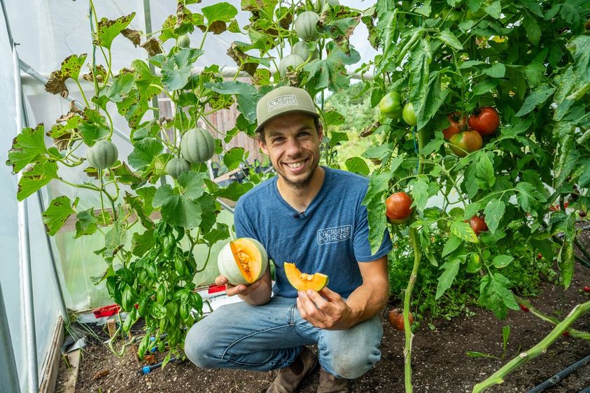 Comment récolter un melon à pleine maturité?