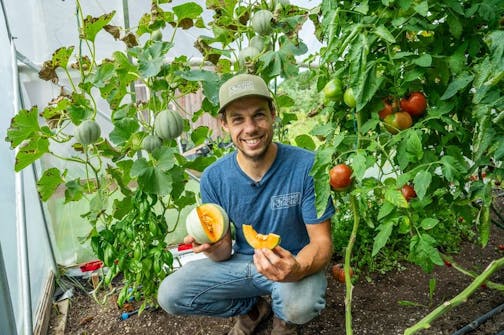 Comment récolter un melon à pleine maturité?