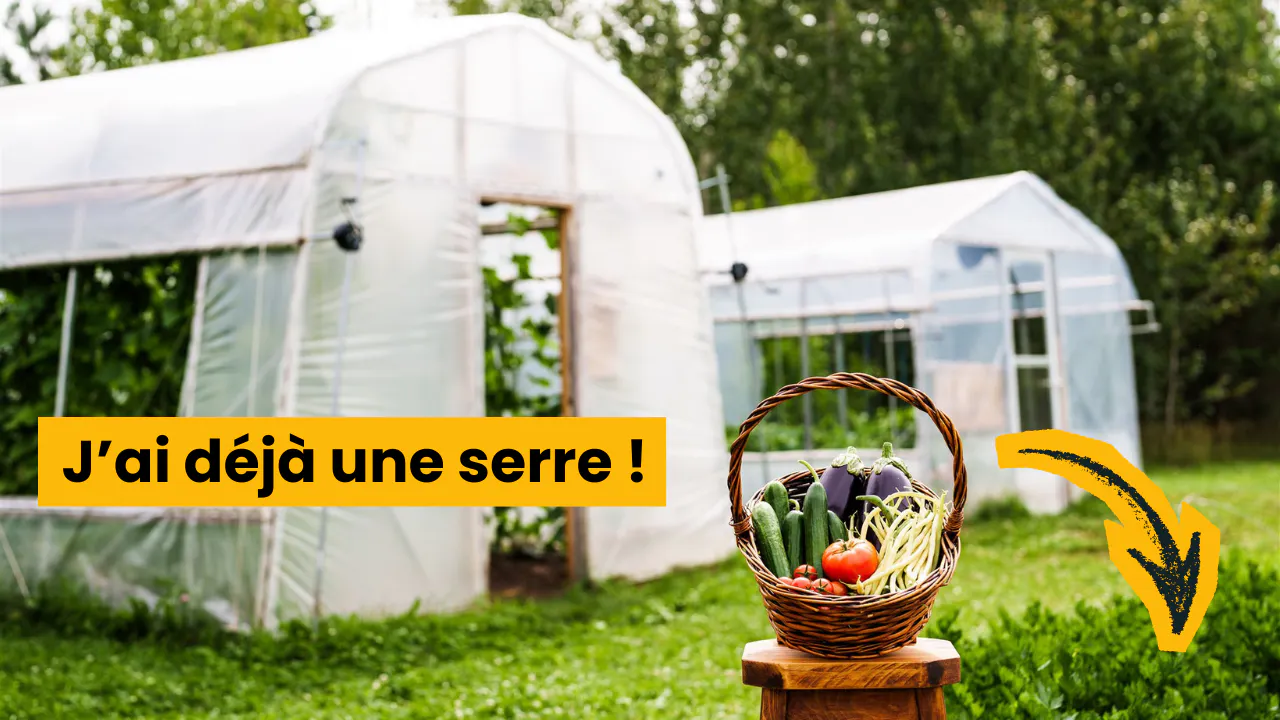 Cultiver en serre