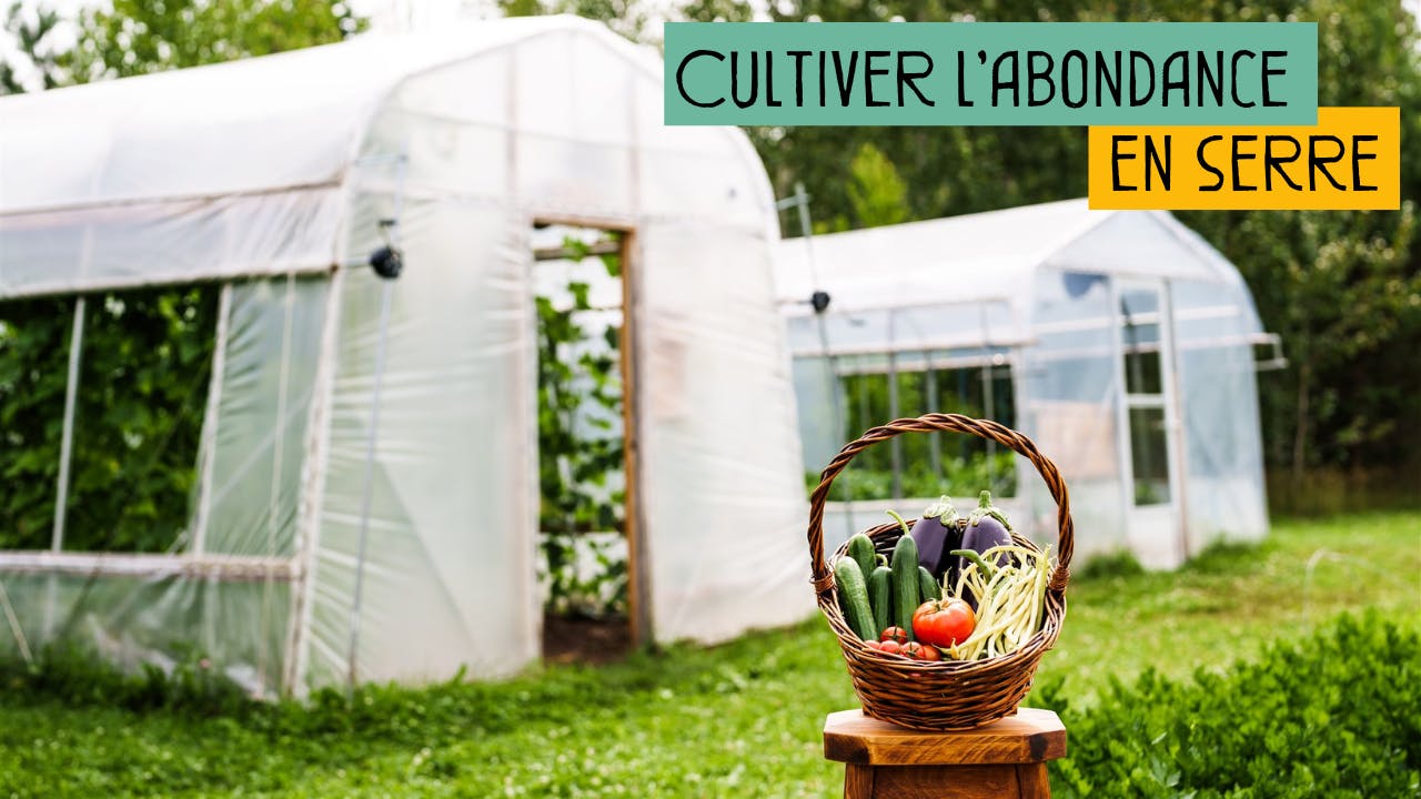 Cultiver en serre
