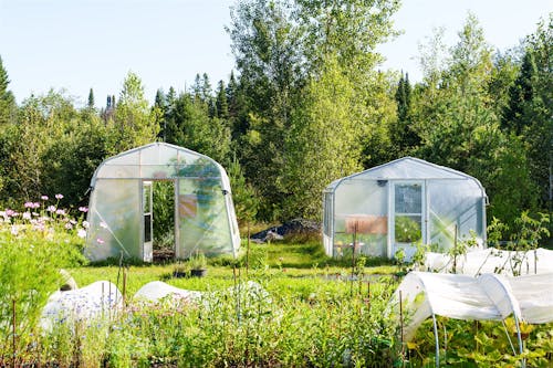 Choisir la meilleure serre de jardin