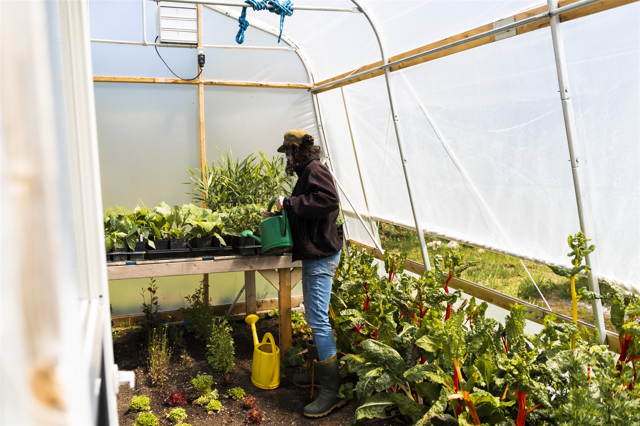 Un espace de pépinière peut être ajouté à votre serre temporairement au printemps.
