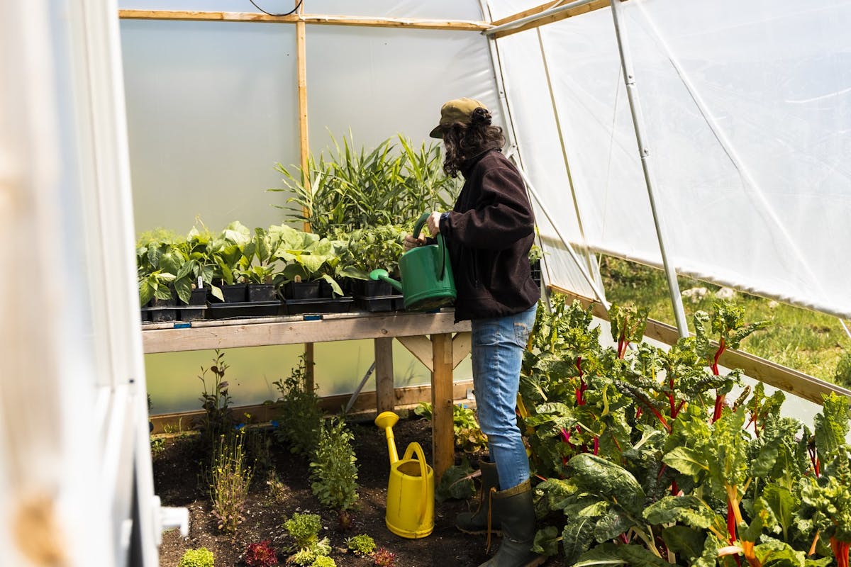 Un espace de pépinière peut être ajouté à votre serre temporairement au printemps.